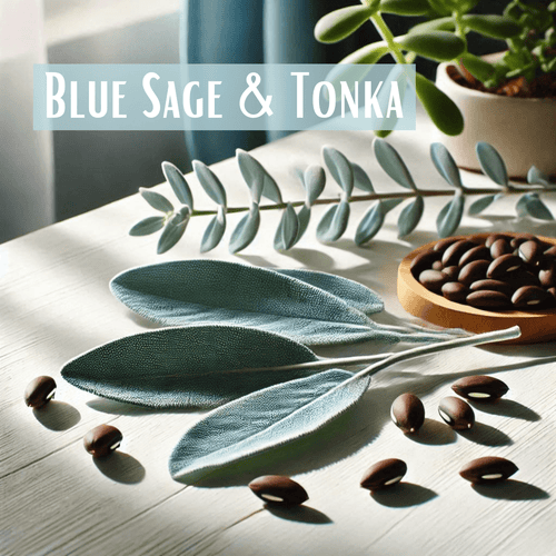 Blue Sage & Tonka - Olfactory Candles